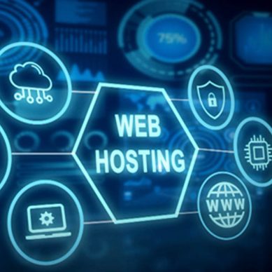 Domain and Hosting